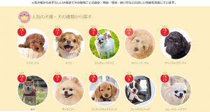 てりしゃ|みんなの犬図鑑